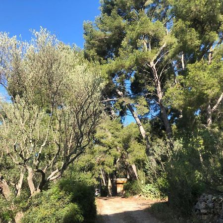 Les Pins Apartment Le Castellet  ภายนอก รูปภาพ