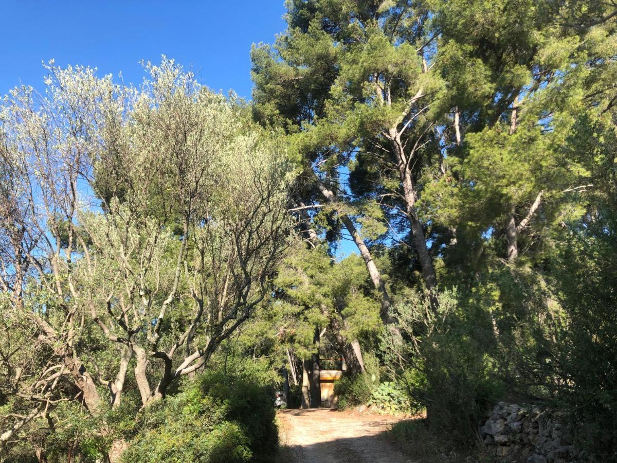 Les Pins Apartment Le Castellet  ภายนอก รูปภาพ